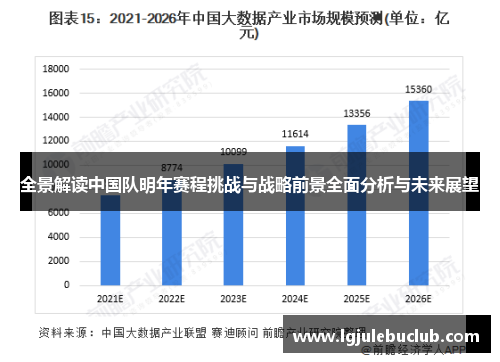 全景解读中国队明年赛程挑战与战略前景全面分析与未来展望