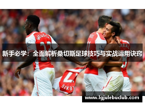 新手必学：全面解析桑切斯足球技巧与实战运用诀窍