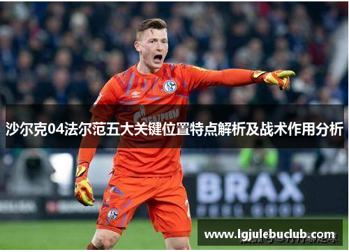 沙尔克04法尔范五大关键位置特点解析及战术作用分析
