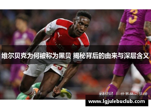 维尔贝克为何被称为黑贝 揭秘背后的由来与深层含义