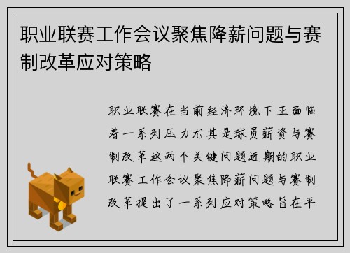 职业联赛工作会议聚焦降薪问题与赛制改革应对策略