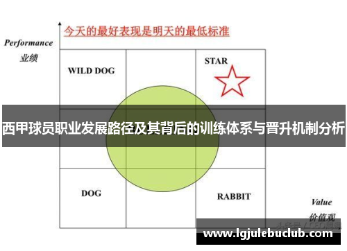 西甲球员职业发展路径及其背后的训练体系与晋升机制分析 西甲球员职业发展路径及其背后的训练体系与晋升机制分析