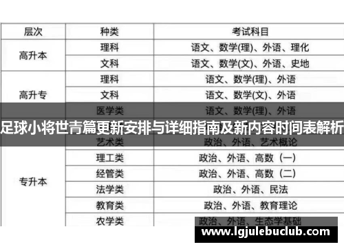 足球小将世青篇更新安排与详细指南及新内容时间表解析
