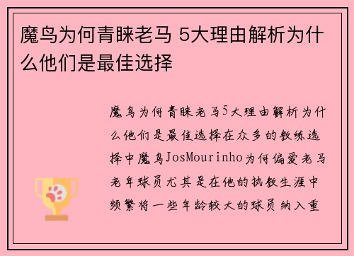 魔鸟为何青睐老马 5大理由解析为什么他们是最佳选择