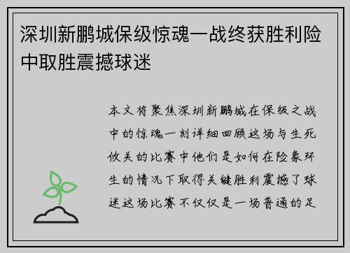深圳新鹏城保级惊魂一战终获胜利险中取胜震撼球迷 深圳新鹏城保级惊魂一战终获胜利险中取胜震撼球迷